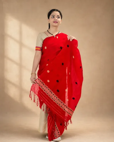 Red Kesa Paat Cotton single sador with woven motifs